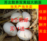农家生态绿色散养双黄大鹅蛋，新鲜鹅蛋，处子鹅蛋孕妇去胎毒
