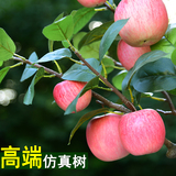 新品仿真苹果树盆栽家居客厅装饰假花摆设水果盆景摄影道具假苹果