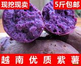 广西特产紫薯特甜紫心薯 番薯 生地瓜农家自种新鲜红薯5斤装包邮