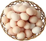【双簧蛋】信宜特产草鸡蛋新鲜农家散养有机鸡蛋 双簧初生蛋 30枚