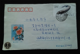 新中国纪特文革编号JT编年邮票集邮收藏 1994-3 中华鲟4-1 实寄封