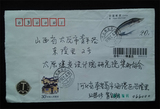 中国纪特文革编号JT编年邮票集邮收藏 1994-3 中华鲟 4-1 实寄封