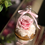 七彩永生花玻璃罩单朵玫瑰保鲜花情人节生日结婚礼物送女朋友闺蜜