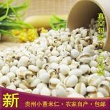 新薏米 贵州农家自产小薏米仁 小苡仁 红豆搭档 真空包装 500g