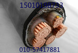 国标 电线电缆 ZR-YJV22 3x50+1x25平方 铜芯铠装 动力 电力电缆