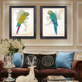 美式鹦鹉装饰画现代欧式客厅卧室餐厅玄关墙面装饰有框动物挂壁画
