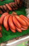 红皮香蕉马来西亚引进 红香蕉新鲜水果 自然熟无催熟剂红色香蕉