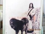 国画字画西藏美女与藏獒走兽画六尺竖幅已装裱丝绢画雪地藏獒