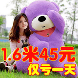 毛绒玩具公仔1.6米泰迪熊1.8m瞌睡熊2米超大号抱抱熊女友生日礼物
