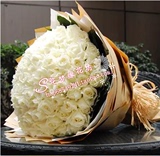 上海520表白花束99朵白玫瑰生日鲜花求婚鲜花同城速递当天送达