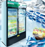 道升展示柜冷藏立式冰柜 商用冰箱饮料饮品保鲜柜 双门冷柜陈列柜
