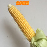 【热销】新鲜水果玉米 现摘甜玉米新鲜玉米棒农家绿色食品5根装