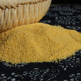 黄小米 糯小米糯黄米农家自种农产品杂粮有机小黄米 谷米 1500克