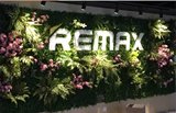 仿真植物墙草坪壁挂假植物尤加利塑料草坪装饰客厅背影创意绿植墙