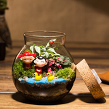 苔藓微景观生态瓶带灯生日盆栽儿童礼物迷你植物苔藓盆景创意盆栽