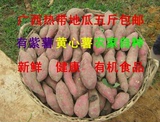 新鲜紫薯 黄心薯 农家有机番薯包甜 地瓜生番薯五斤包邮
