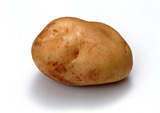 小土豆种子新鲜马铃薯红薯蔬菜土豆种子黑土豆土豆丝紫土豆