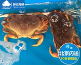 北京闪送直达珍宝蟹鲜活 面包蟹 雪蟹 帝王蟹 加拿大深海螃蟹海鲜