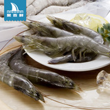 【原装进口】马来西亚南美白对虾500g 26-29只 进口海鲜 新鲜活冻