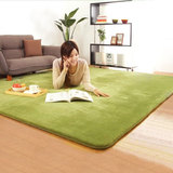 加厚珊瑚绒地毯可机洗家用简约现代客厅茶几地毯卧室长方形床边毯