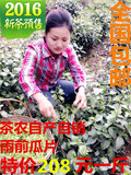 【2016新茶预售】雨前六安瓜片500g 纯手工绿茶 春茶 茶农直销