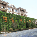 高仿真植物墙绿植墙仿真草坪高密度塑料花垂直绿化墙背景墙装饰