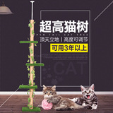 绿色猫树猫抓柱通天柱剑麻猫爬架猫跳台猫架子猫抓架猫玩具包邮