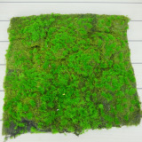 仿真草皮 仿真绿色地毯 海棉草皮  草坪 青苔 草