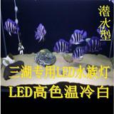 星池高亮LED三湖六间慈鲷萨伊蓝专用照明灯水族鱼缸灯潜水灯