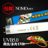 爬虫UVB灯管 UVB5.0紫外线灯具爬虫箱陆龟箱乌龟陆龟蜥蜴鬃狮