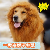 【包邮】雄狮宠物假发套金毛狗狗假发套 一秒钟变狮子猫咪假发套