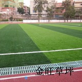 广州人造草坪 50mm 进口足球场草坪 草坪地毯 人工 专业运动草坪