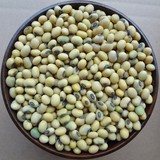 云南有机老品种大黄豆 非转基因黄豆打豆浆专用 五谷杂粮有机粗粮