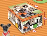 新年限量儿童可爱宠物宝宝 猫咪宝宝礼品盒 玩具包装盒 大号 包邮