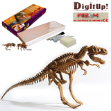 包邮 泰国考古挖掘大立体恐龙化石骨架拼装模型儿童玩具男孩礼物