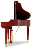 珠江电钢琴限量版 GE103(88键*重锤全配重) 三角数码钢琴