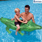 正品INTEX动物造型儿童坐骑海豚鲨鱼大号乌龟水上玩具宝宝游泳圈