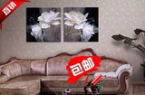 花卉 黑白 客厅 餐厅 卧室 壁挂油画 帆布无框画 装饰画遮电表