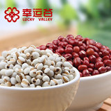 红豆薏米组合有机红豆有机薏米仁新红小豆小薏米粗粮五谷杂粮组合
