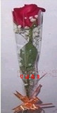 玫瑰1支简单包装鲜花七夕情人节礼物鲜花店直送 限南京市