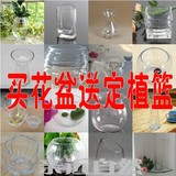 水培玻璃瓶 绿植玻璃花瓶 简约透明玻璃盆 带定植篮 盆栽
