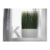重庆宜家家居IKEA代购菲卡人造植物仿真塑料花草绿植园艺花卉仿真