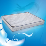天然椰棕保健护螨保健床垫/软硬两面弹簧席梦思床垫可拆洗 特价