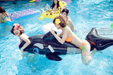 INTEX包邮正品 儿童水上坐骑黑鲸鱼动物充气玩具浮船游艇座圈泳圈