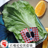 大嘴拉拉 110g生菜套餐(锡纸盒+调味料+蔬菜）杭州烧烤绿叶菜
