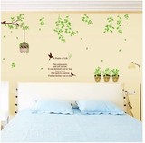 可移除墙贴墙装饰贴画温馨卧室床头背景墙纸客厅清新花盆绿叶鸟笼