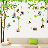 墙贴记忆树照片墙贴纸墙饰客厅背景电视墙温馨卧室床头墙画包邮