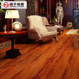 扬子地板 强化复合木地板 12mm强化地板 手抓纹复合地板 YW5550