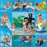 INTEX儿童水上充气坐骑动物游泳圈坐圈乌龟座骑成人沙滩玩水玩具