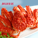 【鲜动生活】智利帝王蟹2.4-2.8斤野生熟冻皇帝蟹进口大螃蟹